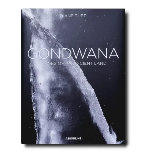 Assouline Knyga „Gondwana - Images of an Ancient Land"